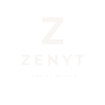 zenytmx.com